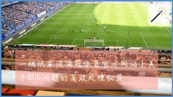 一线玩家谈满冠体育官方网站上关于BUG问题的高效处理秘笈