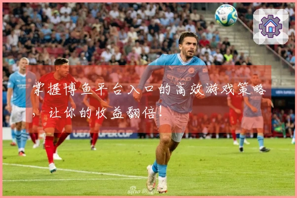 掌握博鱼平台入口的高效游戏策略，让你的收益翻倍！