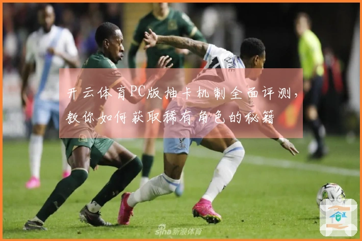开云体育PC版抽卡机制全面评测，教你如何获取稀有角色的秘籍