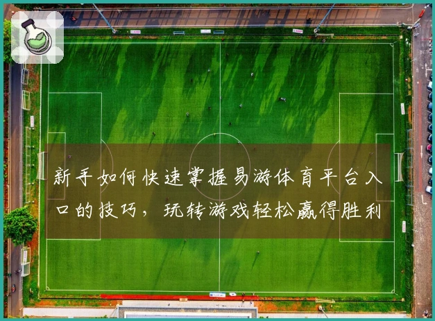 新手如何快速掌握易游体育平台入口的技巧，玩转游戏轻松赢得胜利